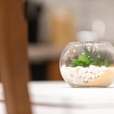 Alojamento de Acomodação e Pequeno-almoço Gregorio Vii Luxury Roma